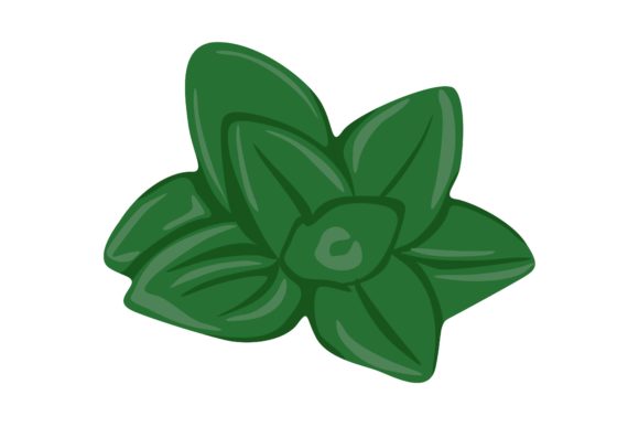 Download Green Oregano Leaves Illustration Vector - Illustration Collection